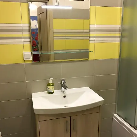 On Khorvatska Street Daire Lviv